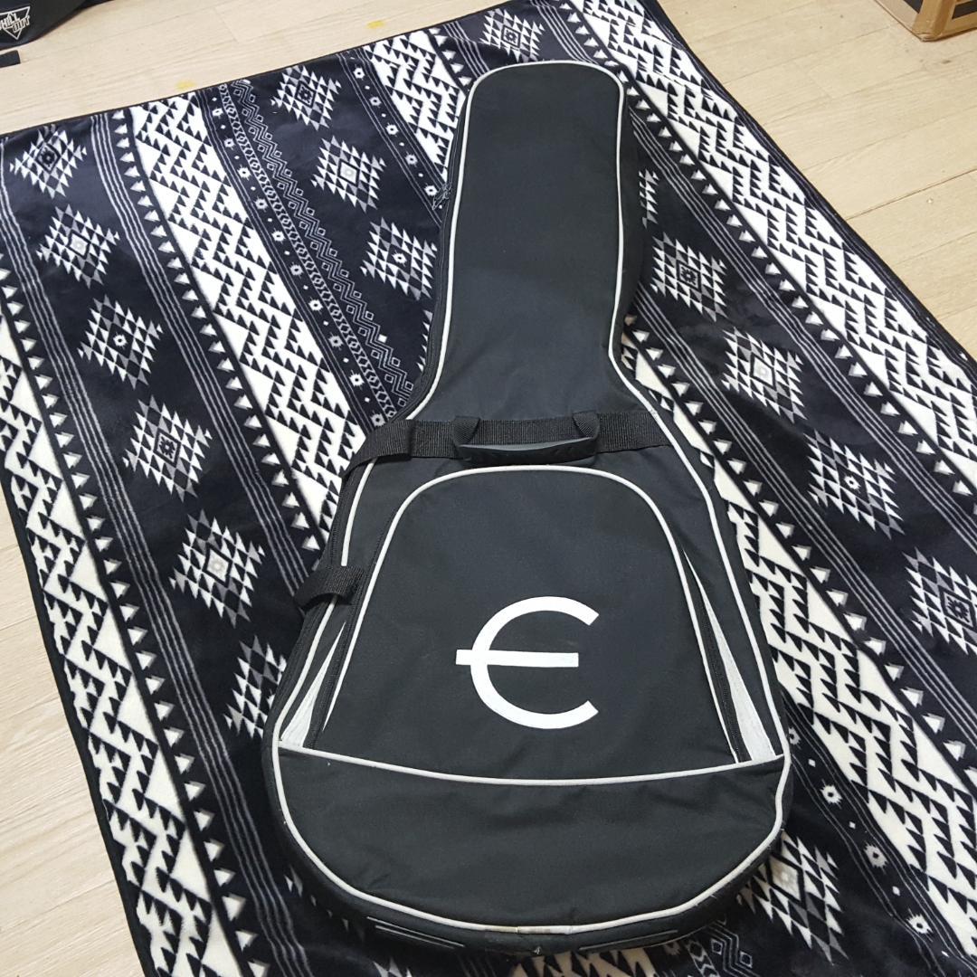 （非常に希少）2011年製エピフォン ES-345 AW ビグスビー付き