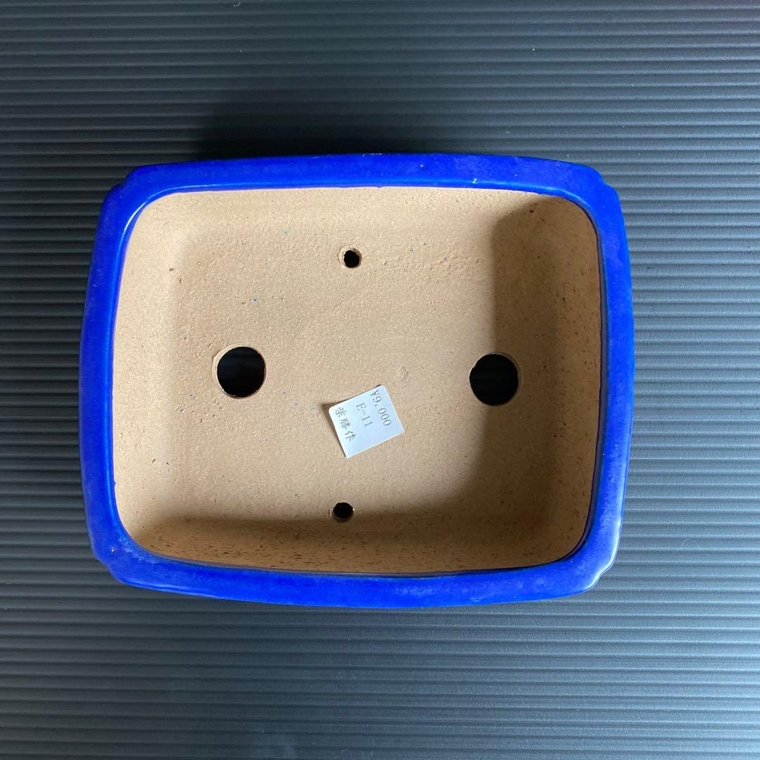 柴勝　小品盆栽