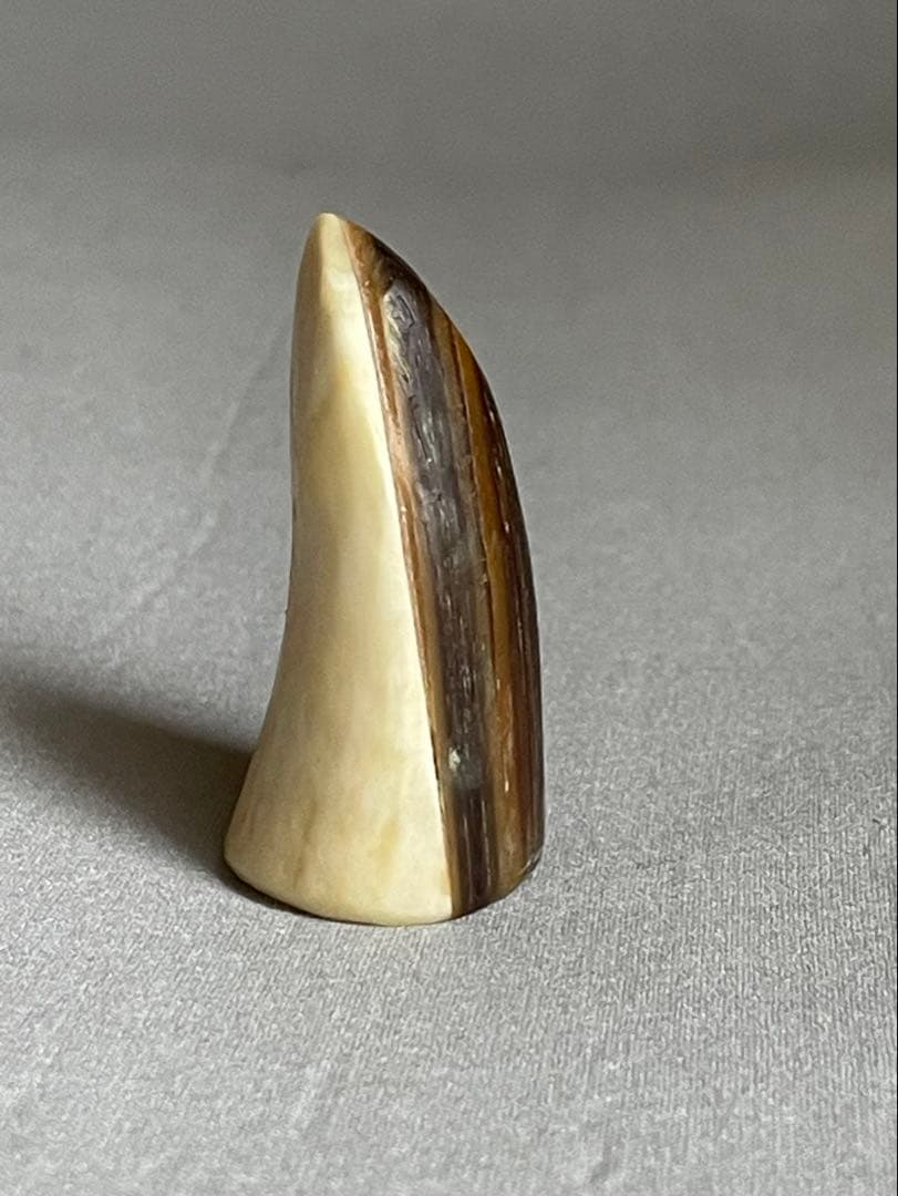 三線用　爪　鯨髭＋鯨歯　Bタイプ　最終出品分