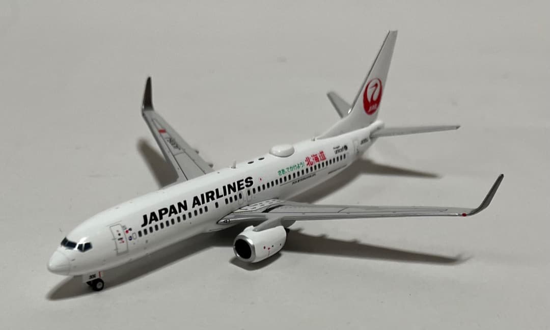 JAL B737-800 JA306J 北海道