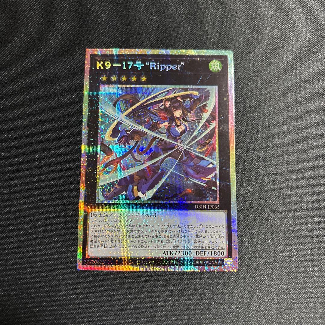 K9-17号Ripper プリシク