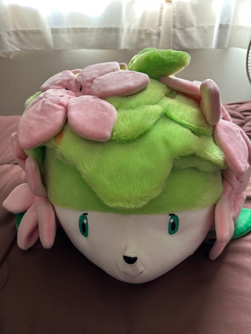 たしページ•*¨*•.¸♬︎