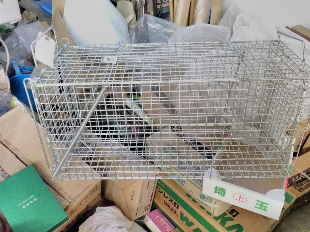小動物捕獲き