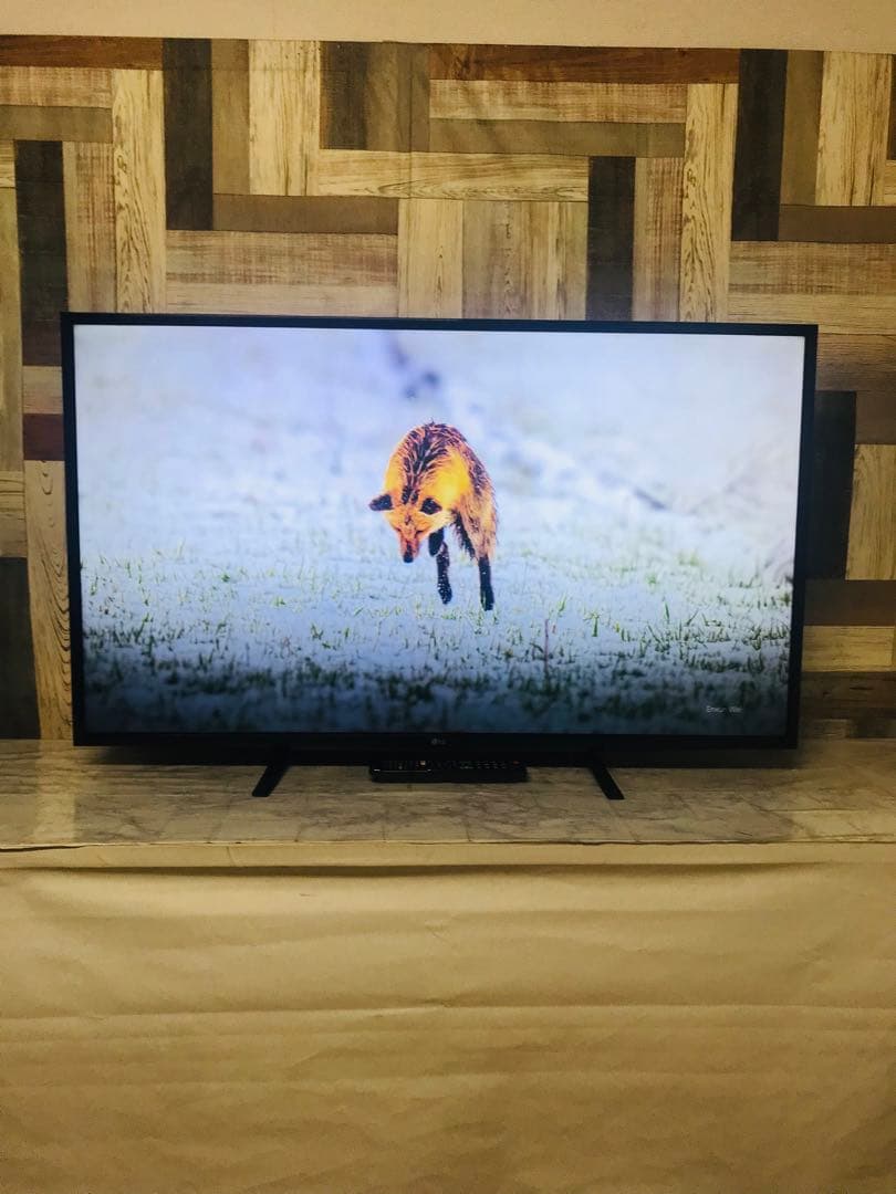 即日受渡❣️全国送料込LG49型4KテレビYouTube.Netflix新品リモ付