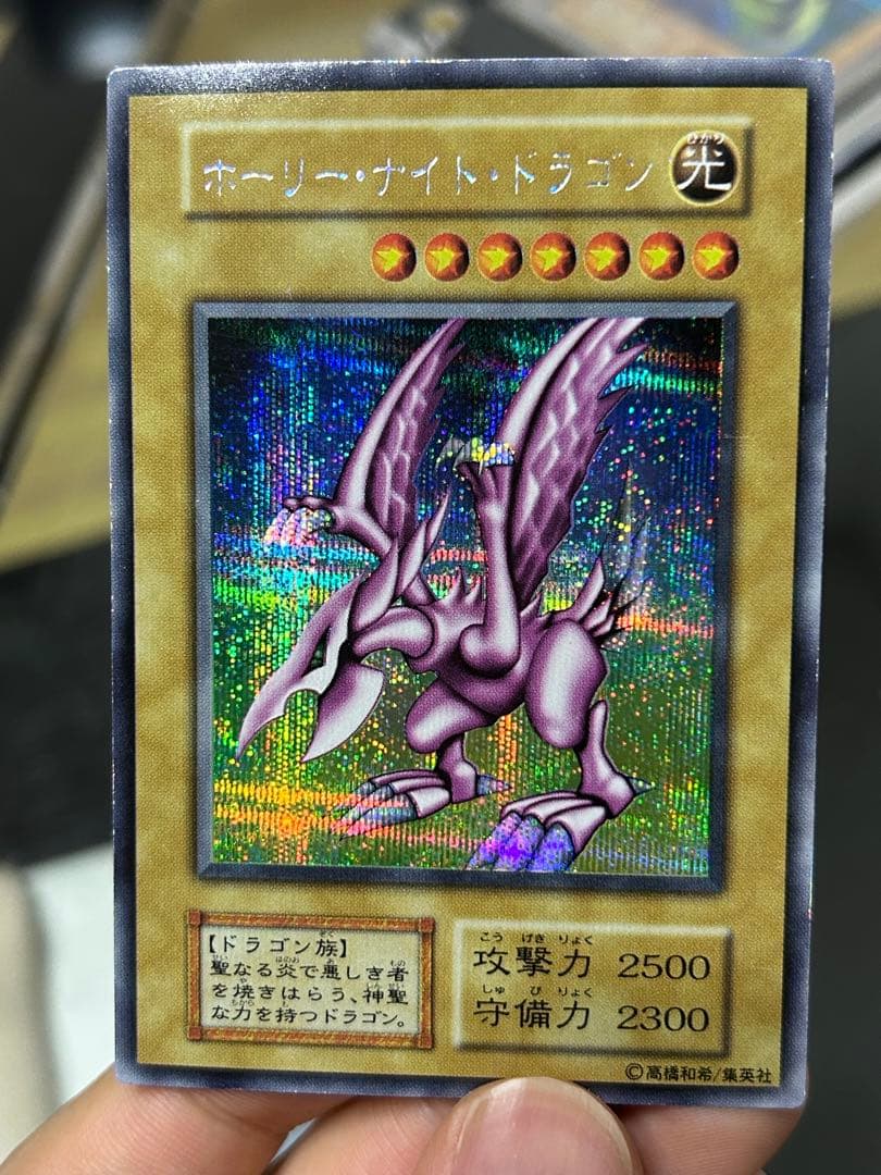 ホーリーナイトドラゴン初期シークレット