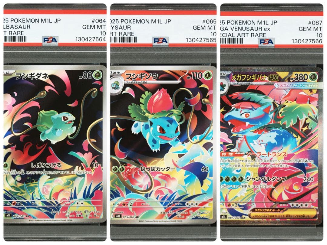 ポケモンカード　フシギダネ　フシギソウ　フシギバナ　進化ライン　PSA10