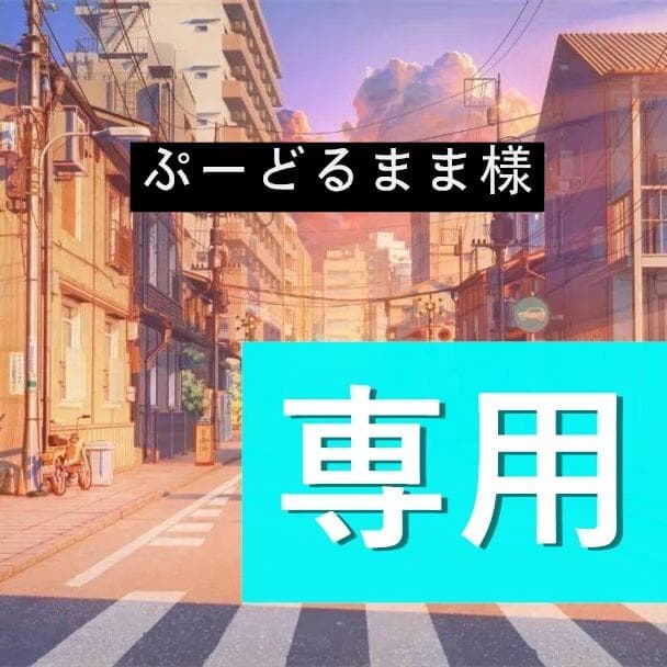 ぷーどるまま様