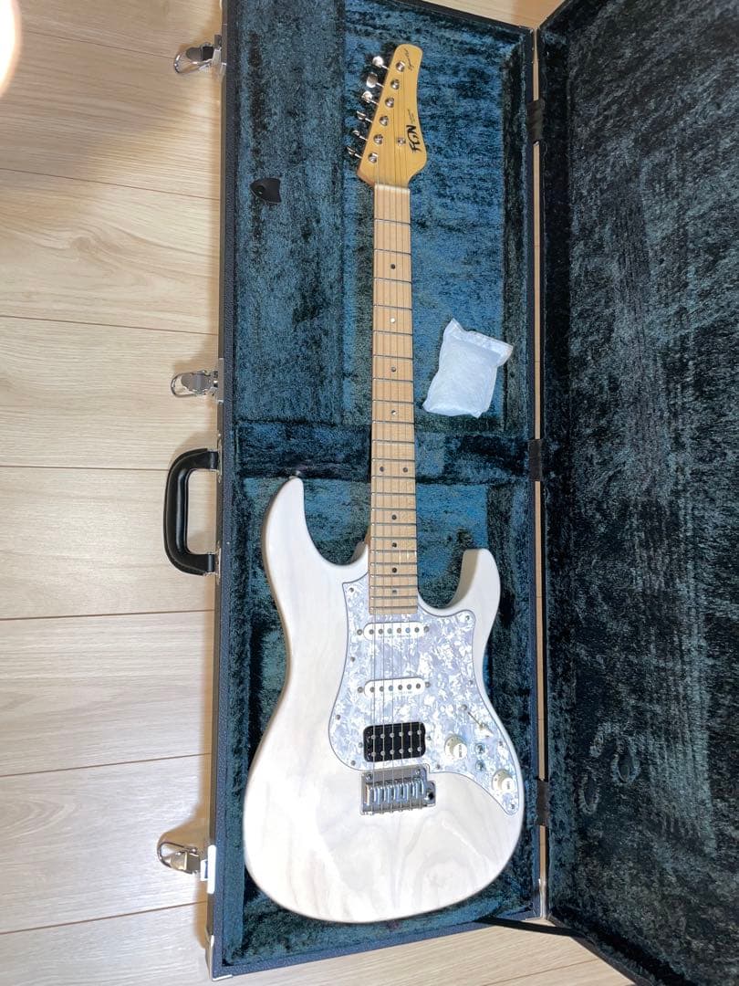 FUJIGEN eos ギター