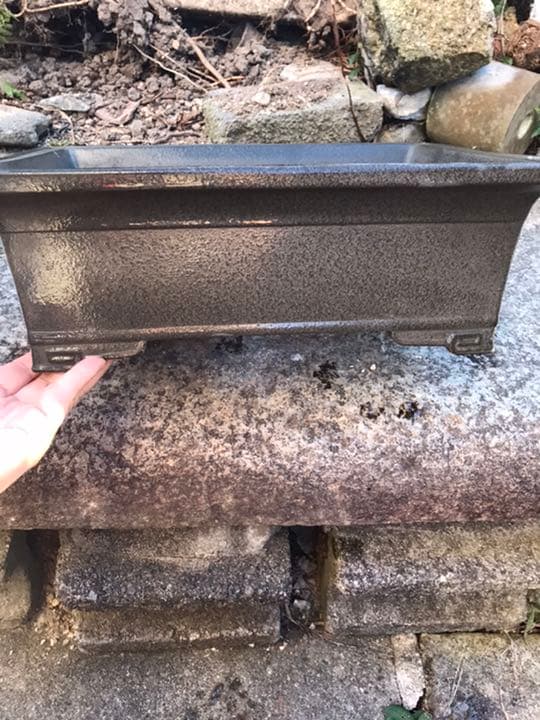 盆栽鉢 時代盆栽鉢長方鉢落款有山野草植木鉢