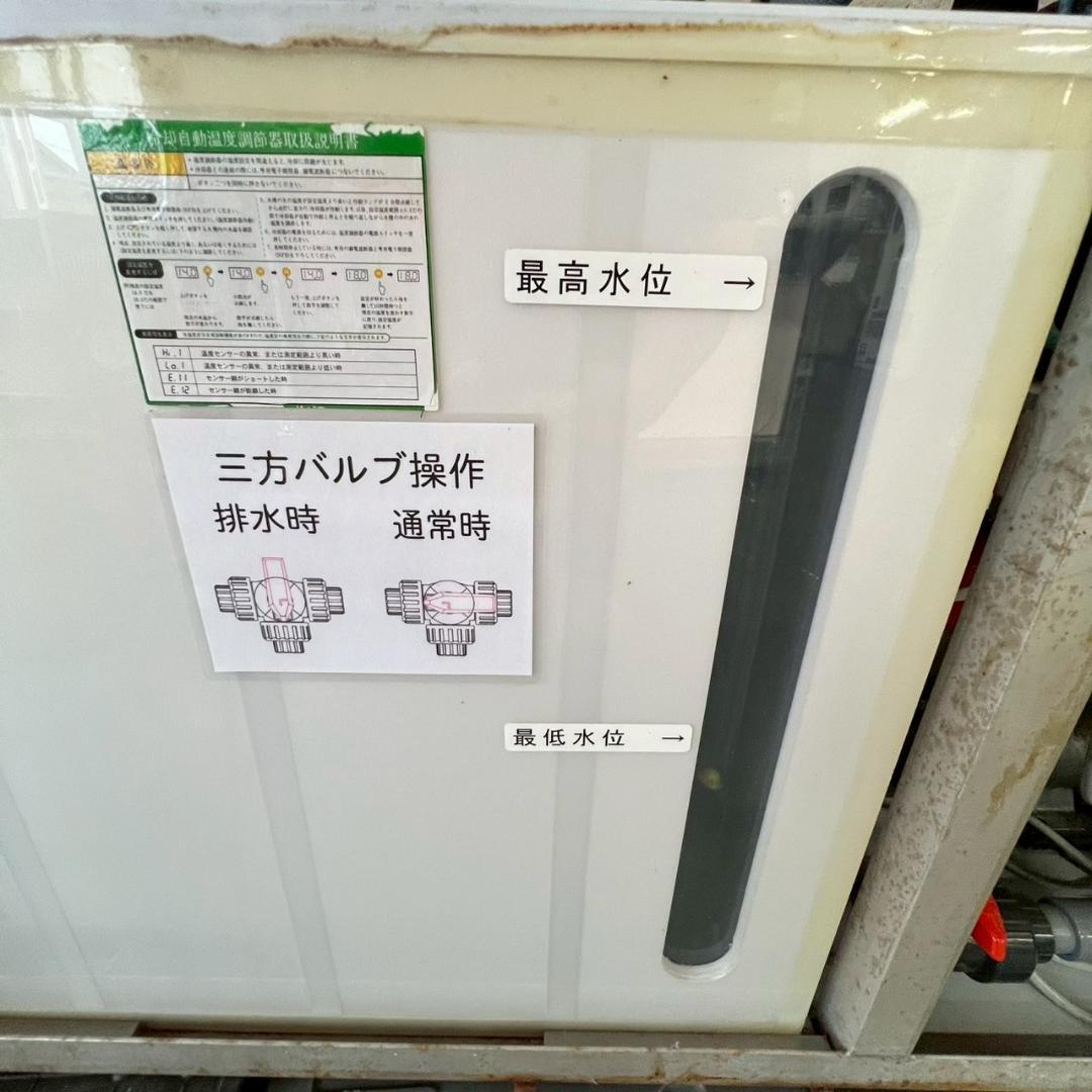 活魚水槽 セット いけす 水槽 店舗 店舗什器 厨房 厨房用品 Y2163