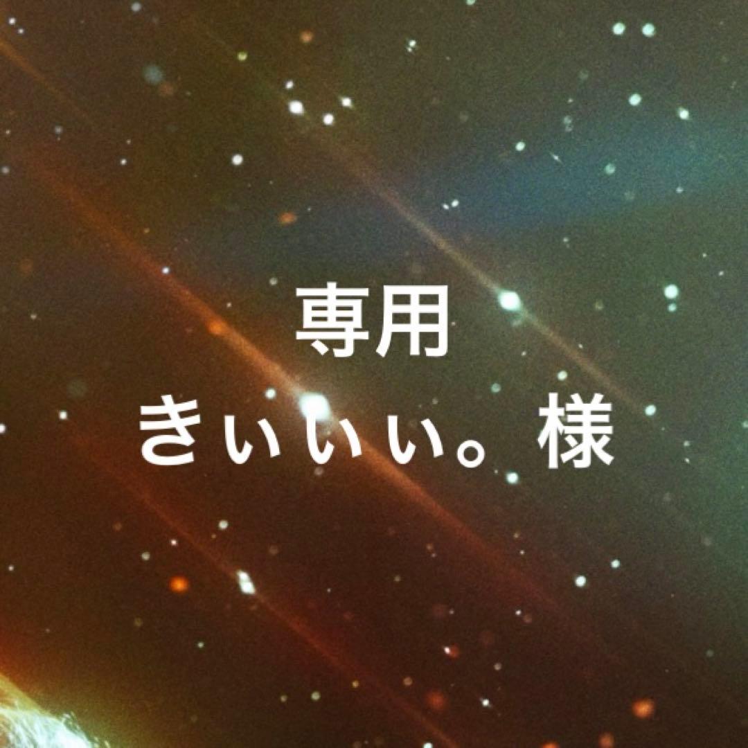 専用ページ きぃぃぃ。様