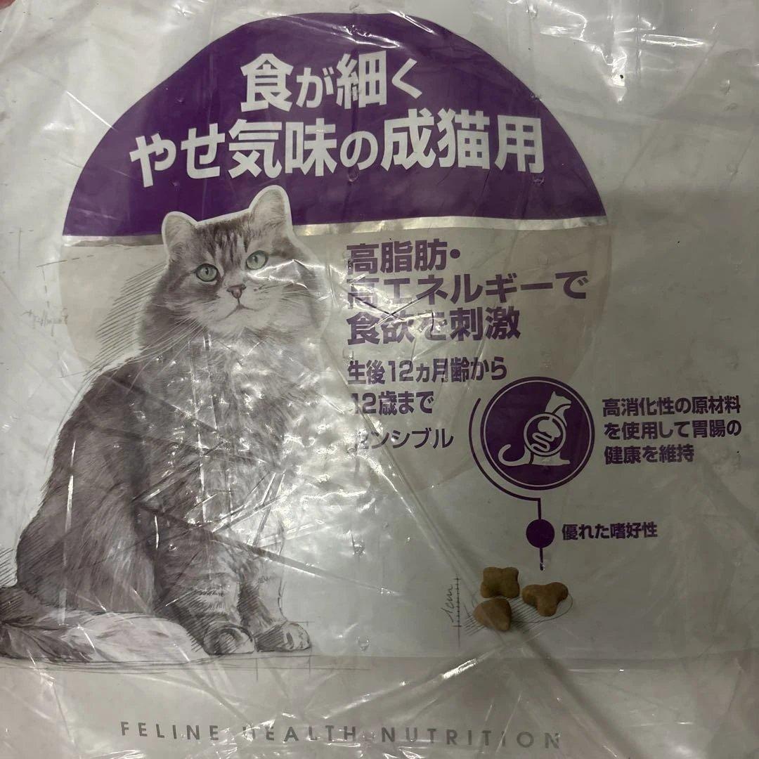 キャットフード aurora