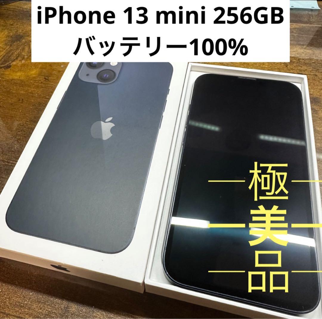 iPhone 13 mini ブラック　 256GB SIMフリー本体