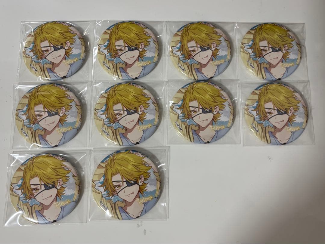 カラフルピーチ からぴち夏休み たっつん ひらかたパーク 缶バッジ10個セット