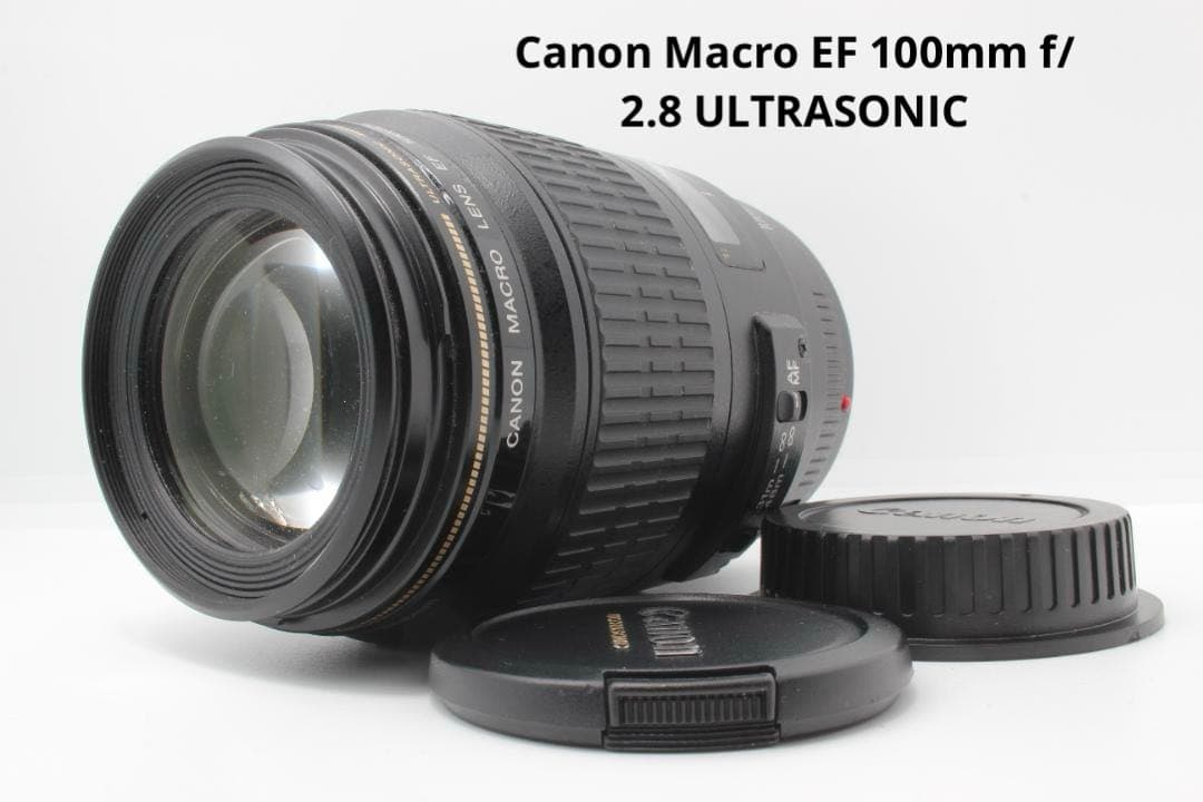 レンズ(ズーム) Canon Macro EF 100mm f/2.8 ULTRASONIC