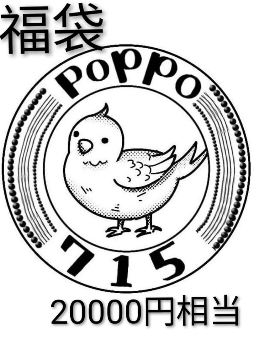 中身がわかる　poppo715福袋（20000円相当）　1/12　布服　①