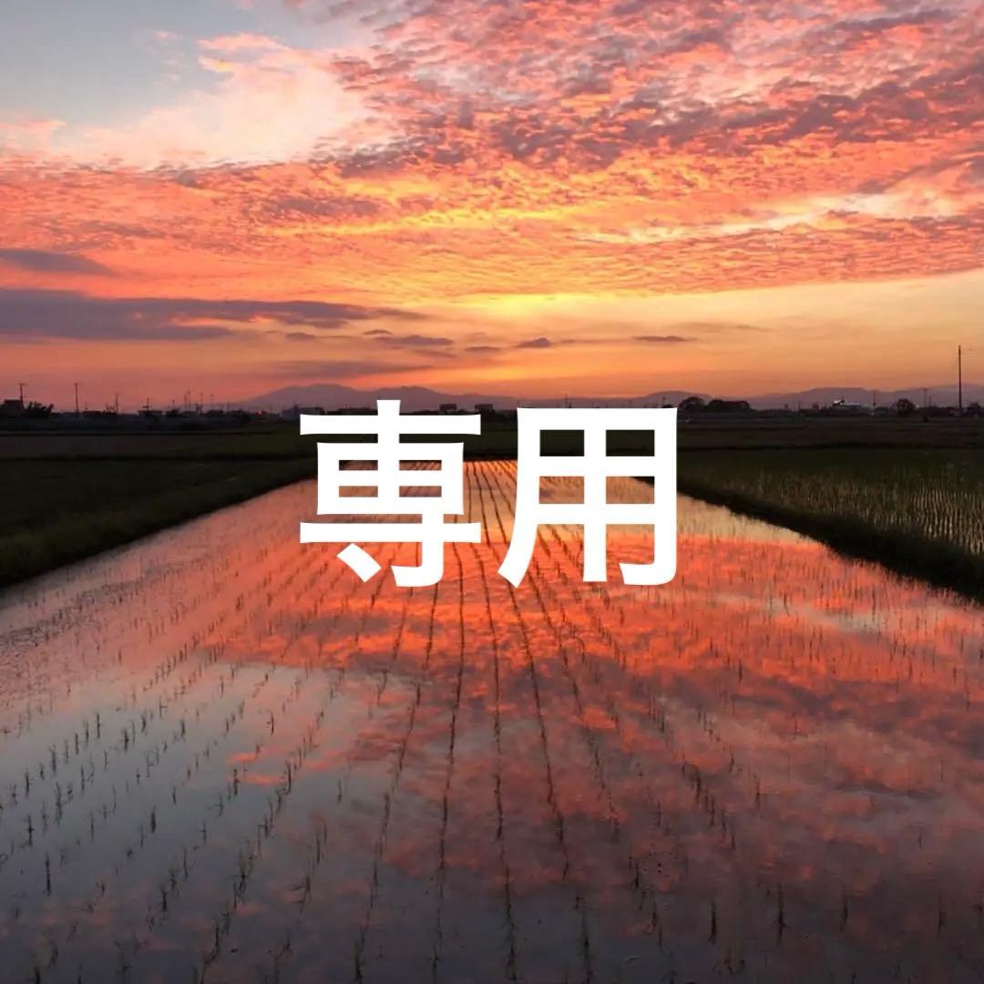 専用　ブレスレット4本　おまとめ