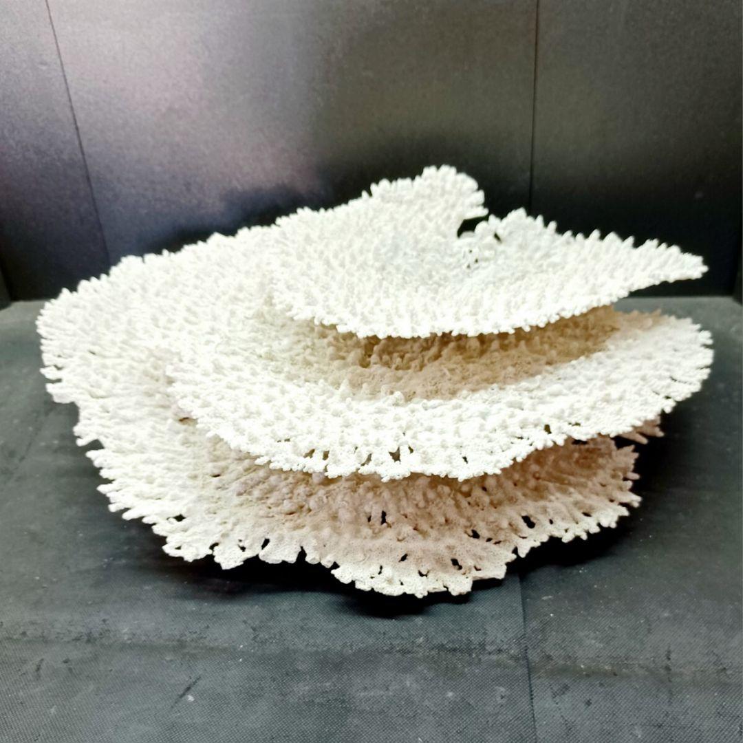 特大 飾り 珊瑚 3段 テーブル サンゴ礁 置物 白 海水魚 水槽 レイアウト