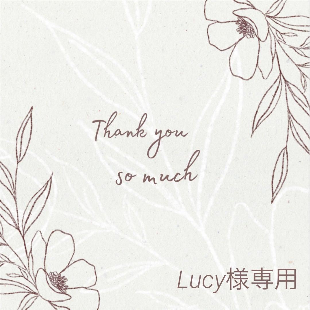 Lucy様 リクエスト 4点 まとめ商品