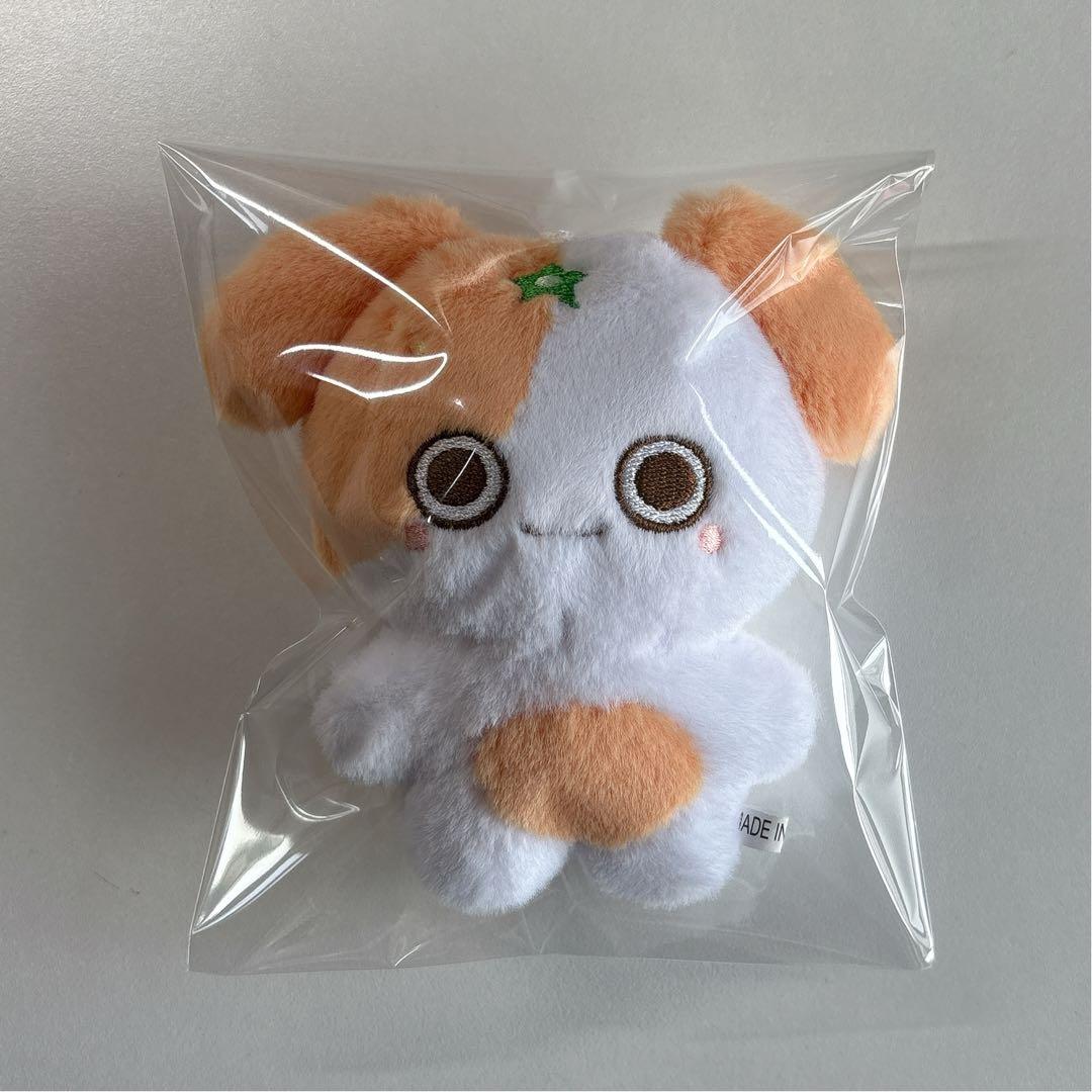 &TEAM EJ 10cm ぬいぐるみ マスター 미캉쭈