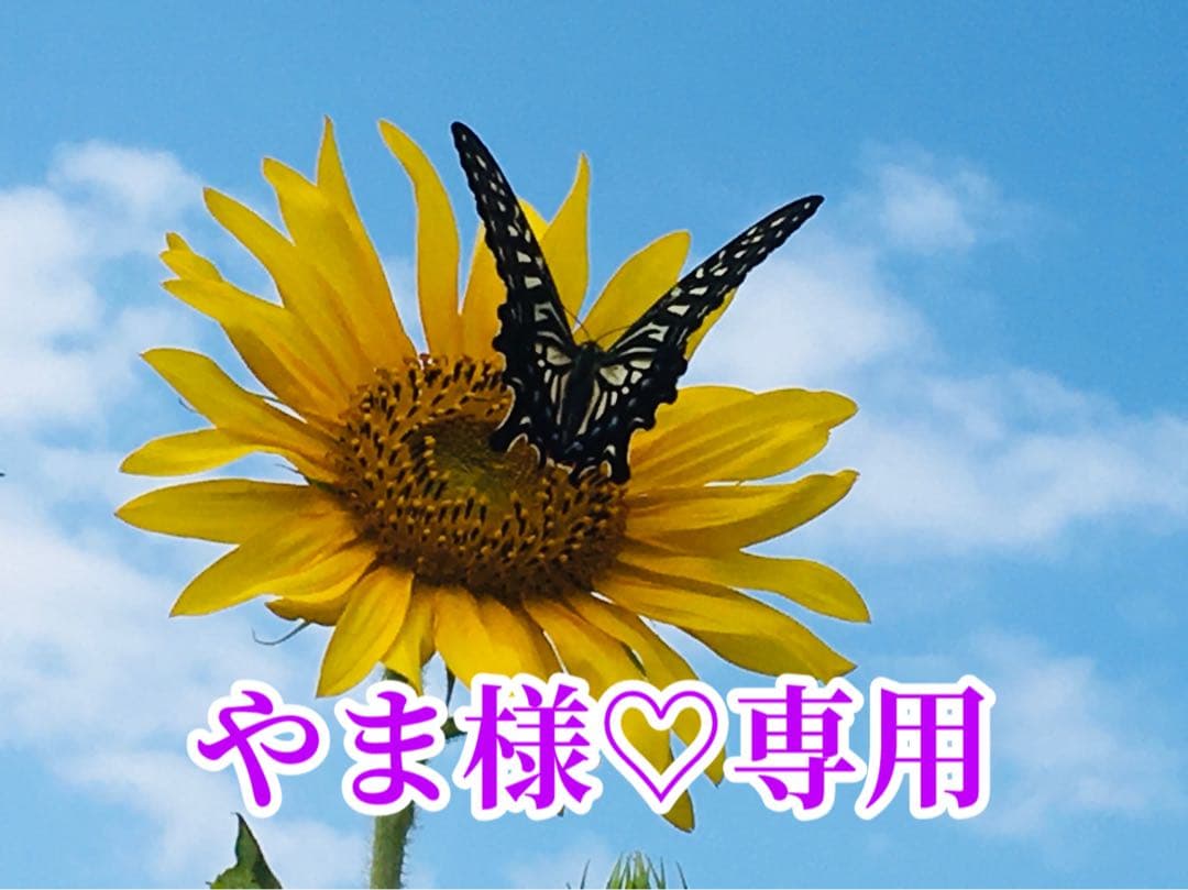 やま様❤️おまとめ専用ページです。4/1まで♡
