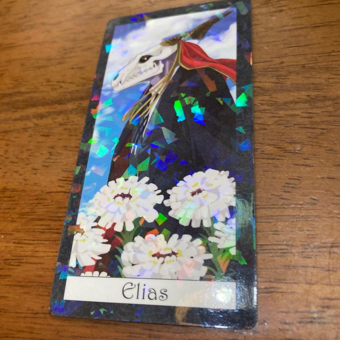 Elias トレーディングカード The Ancient Magus Bride