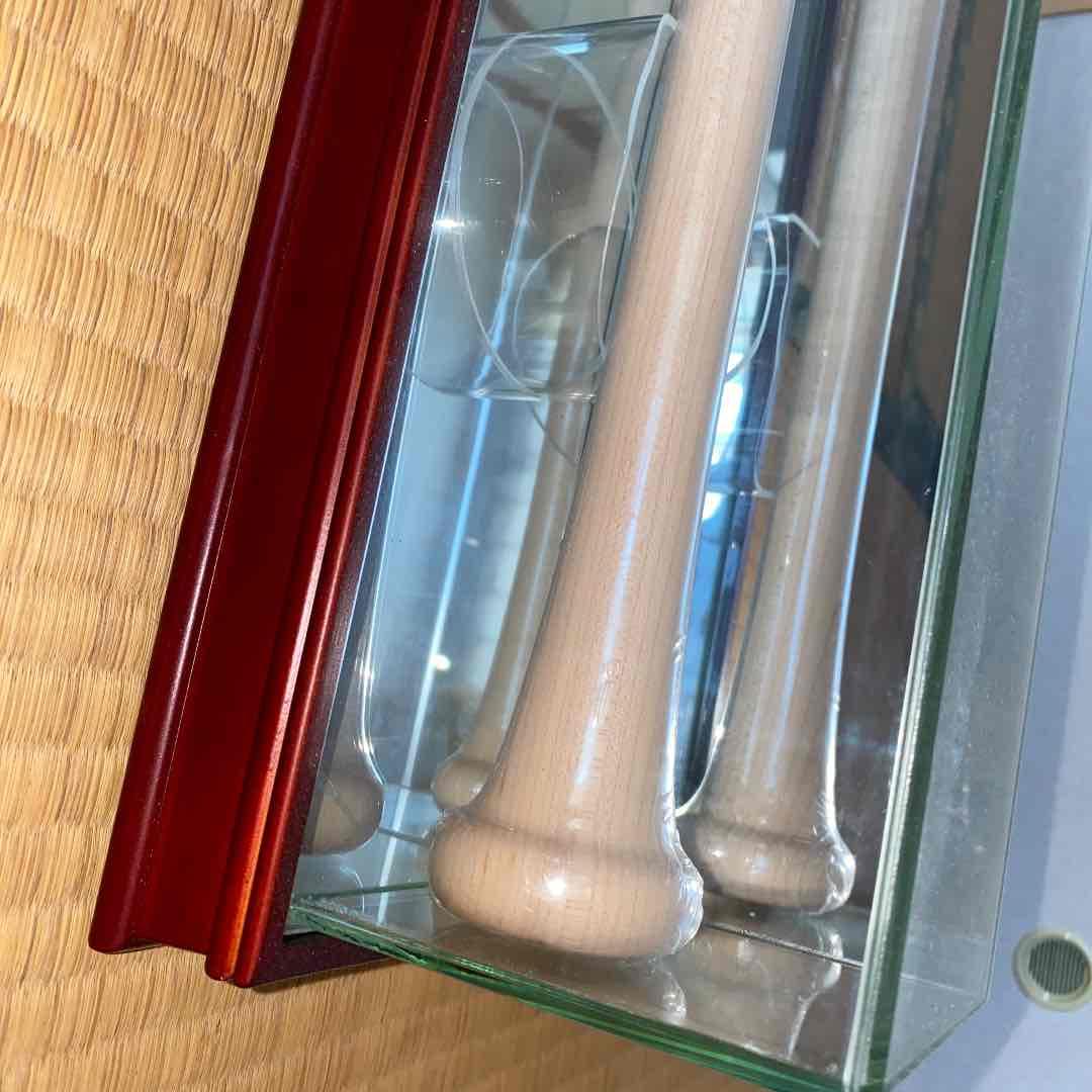 コレクションバッドケースインテリア飾り展示用