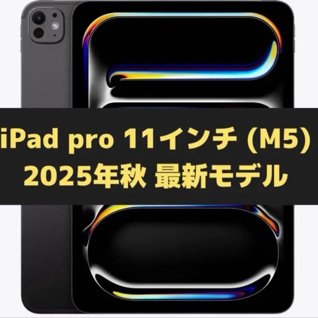 iPad Pro 11インチ (M5) 256GB バッテリー容量100%