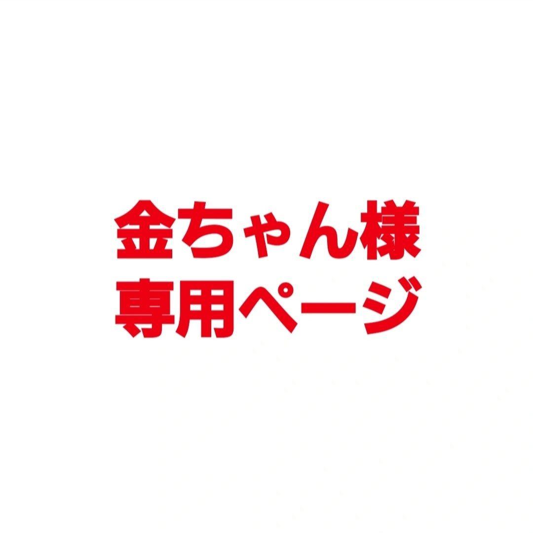 【金ちゃん】クリエイティブメモリーズ製パンチおまかせ10個セット