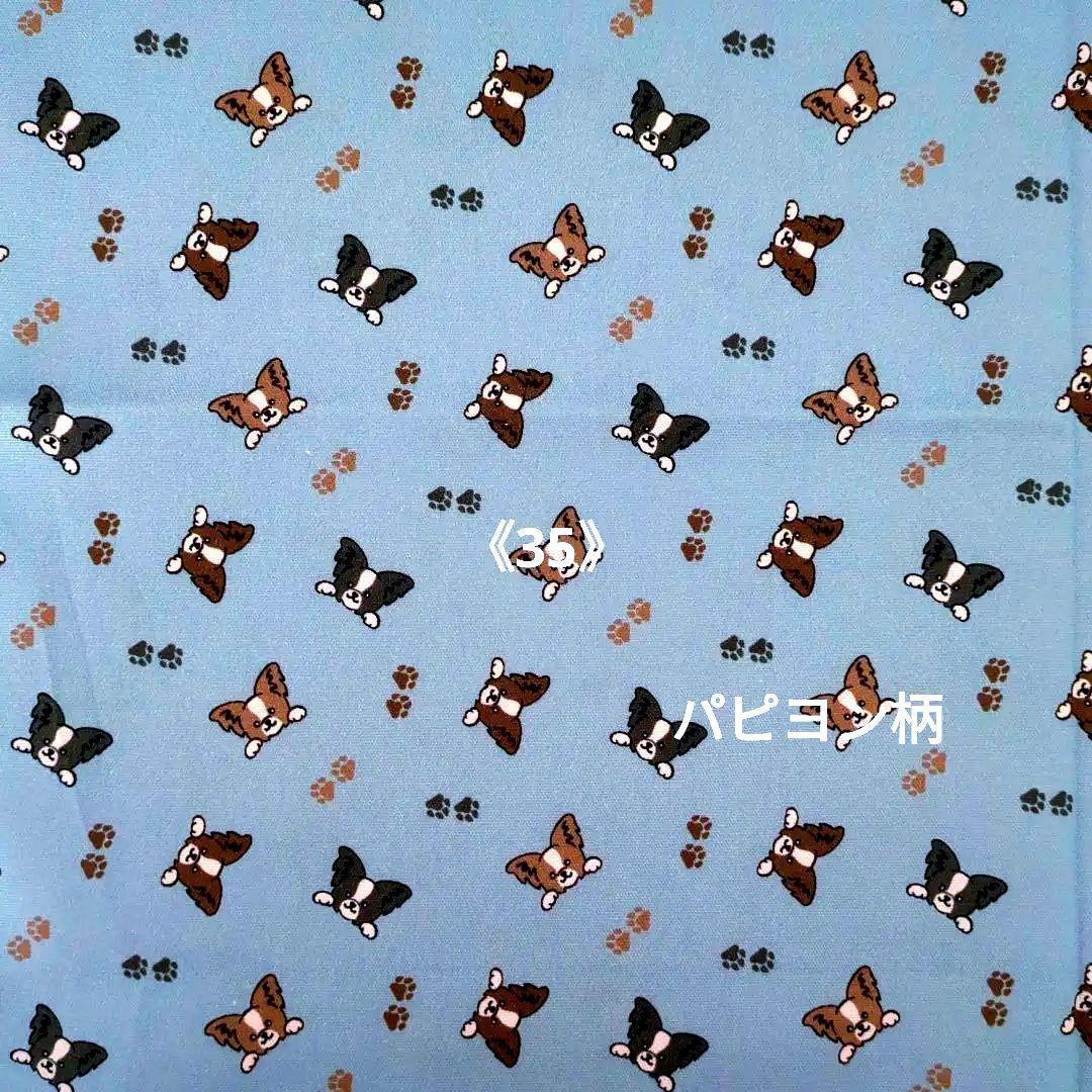 《35》ペット＊犬＊マナーベルトオーダー用 サンプル（確認用）パピヨン