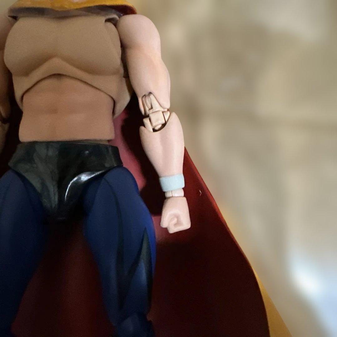 S.H.Figuarts タイガーマスク