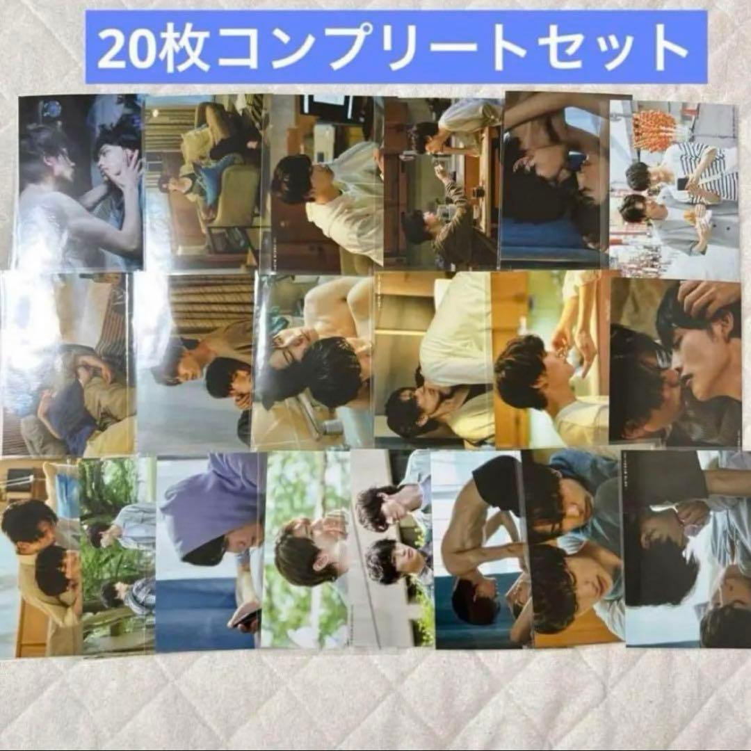 体感予報　ブロマイド　生写真　樋口幸平　増子敦貴