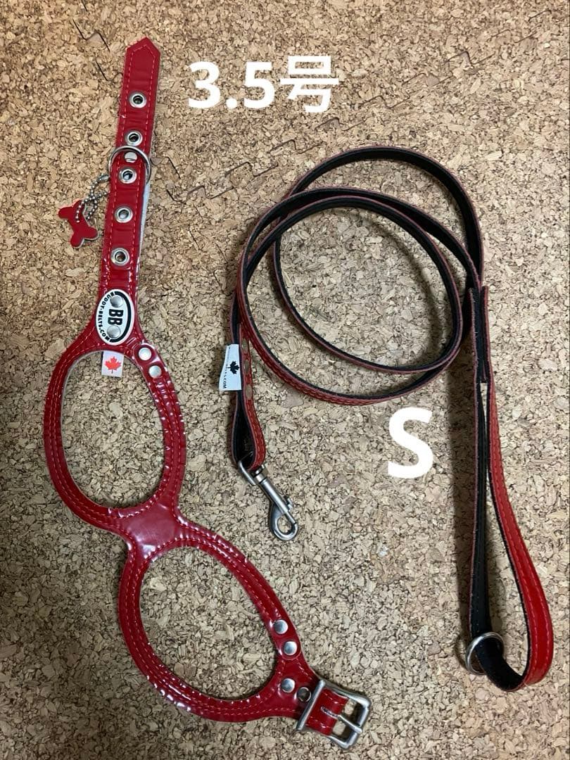 BUDDY BELT エナメルレッド 限定 3.5 ハーネス＋リードSセット