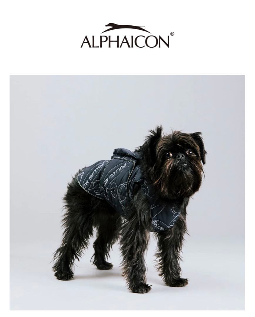 ALPHAICON エアライナーCOSMIC Mサイズ