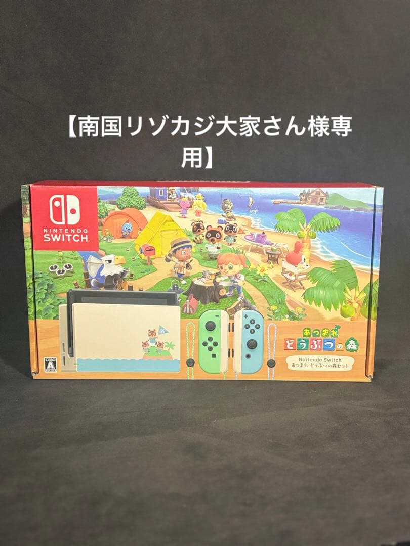 【南国リゾカジ大家さん】Switch あつ森セット 未使用