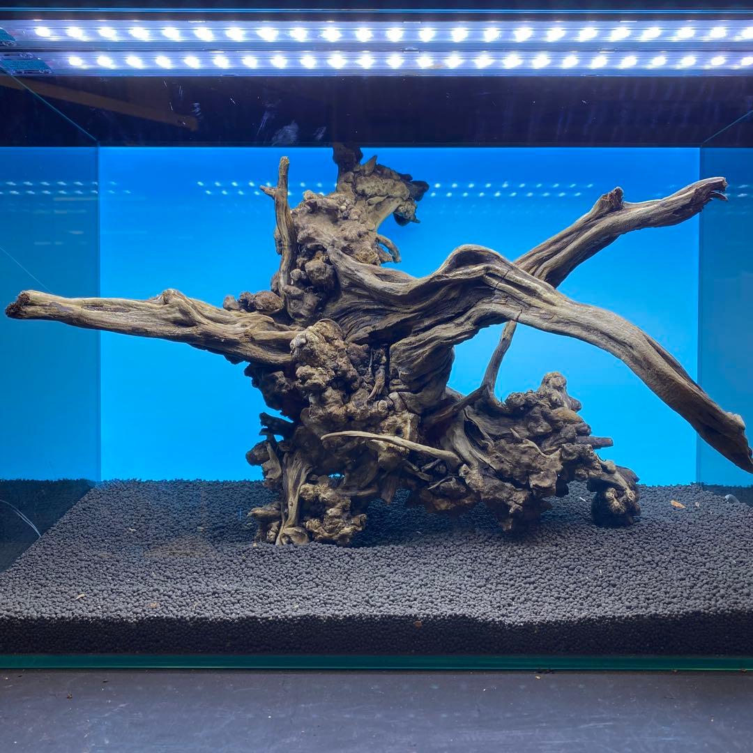 MSRW-6734 天然流木1点物　スリムウッド　アクアリウム