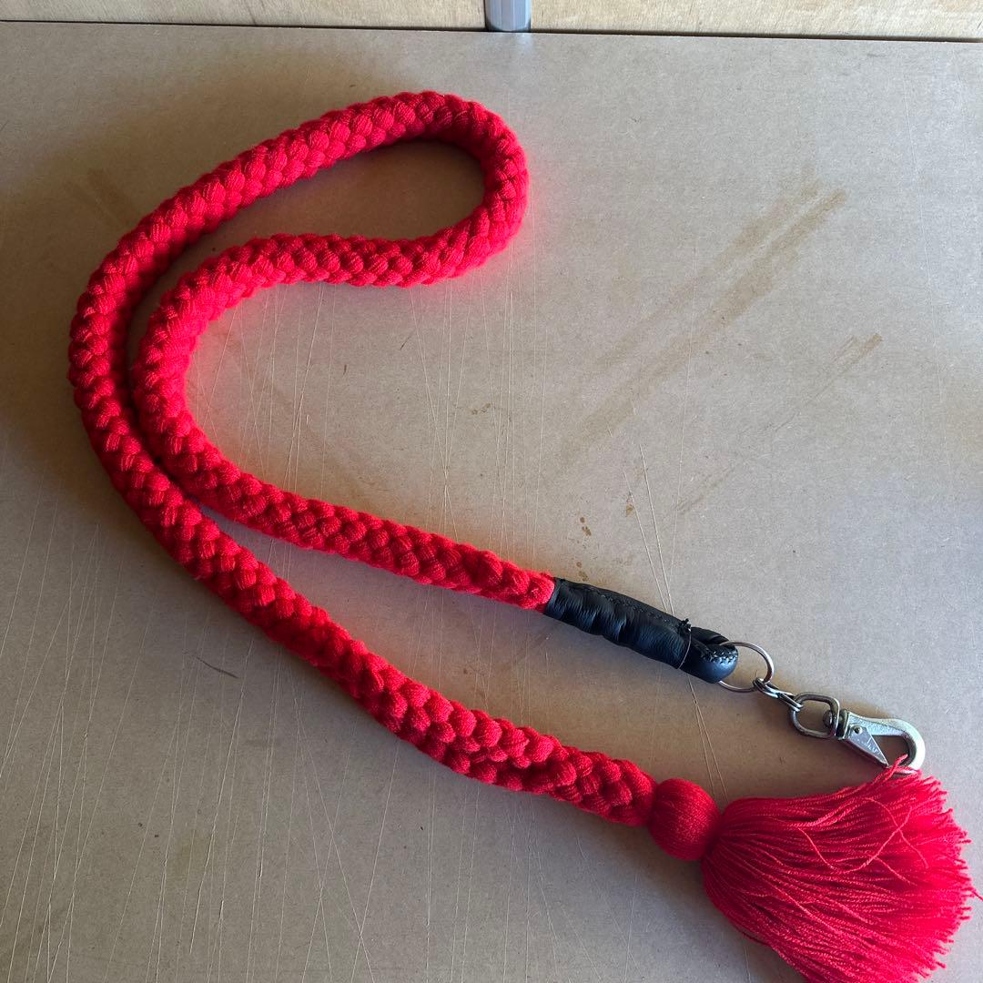 土佐犬　土佐闘犬　超大型犬　引き綱　赤