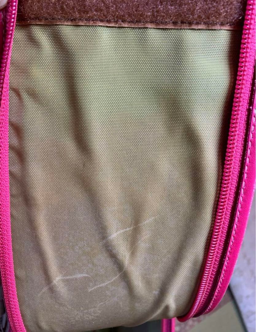 【激レア】Coach キャリーバッグ ペット用　ペットキャリー