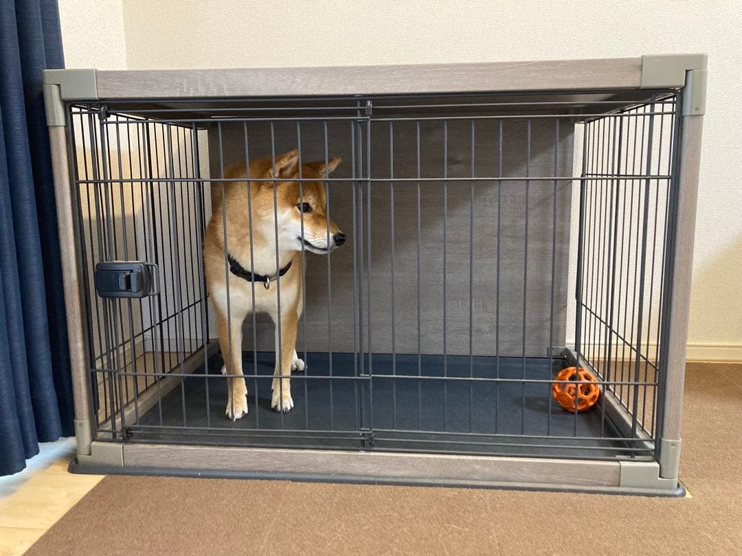犬用ケージ