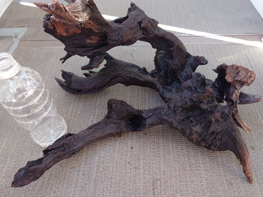 水槽用流木セット