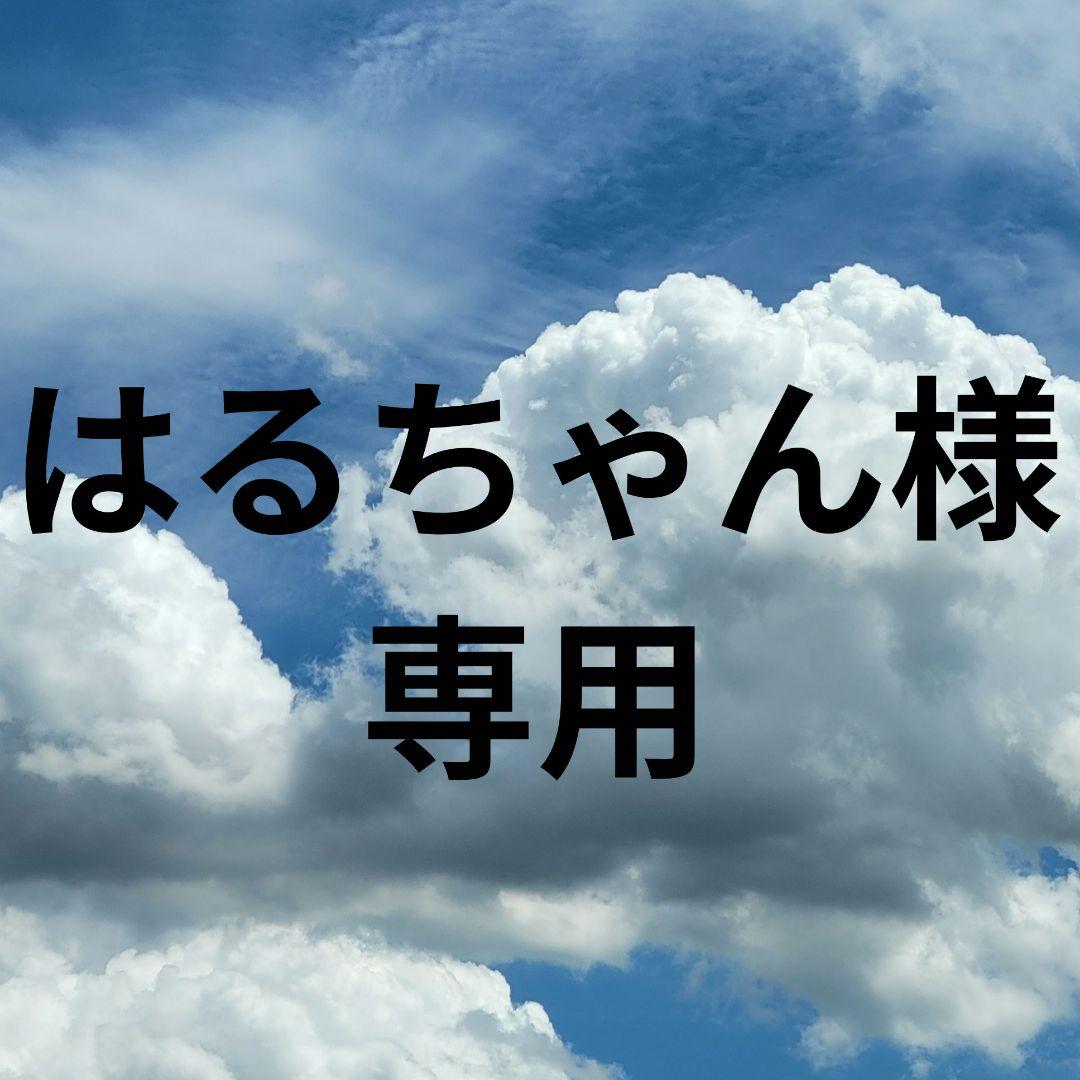 はるちゃん