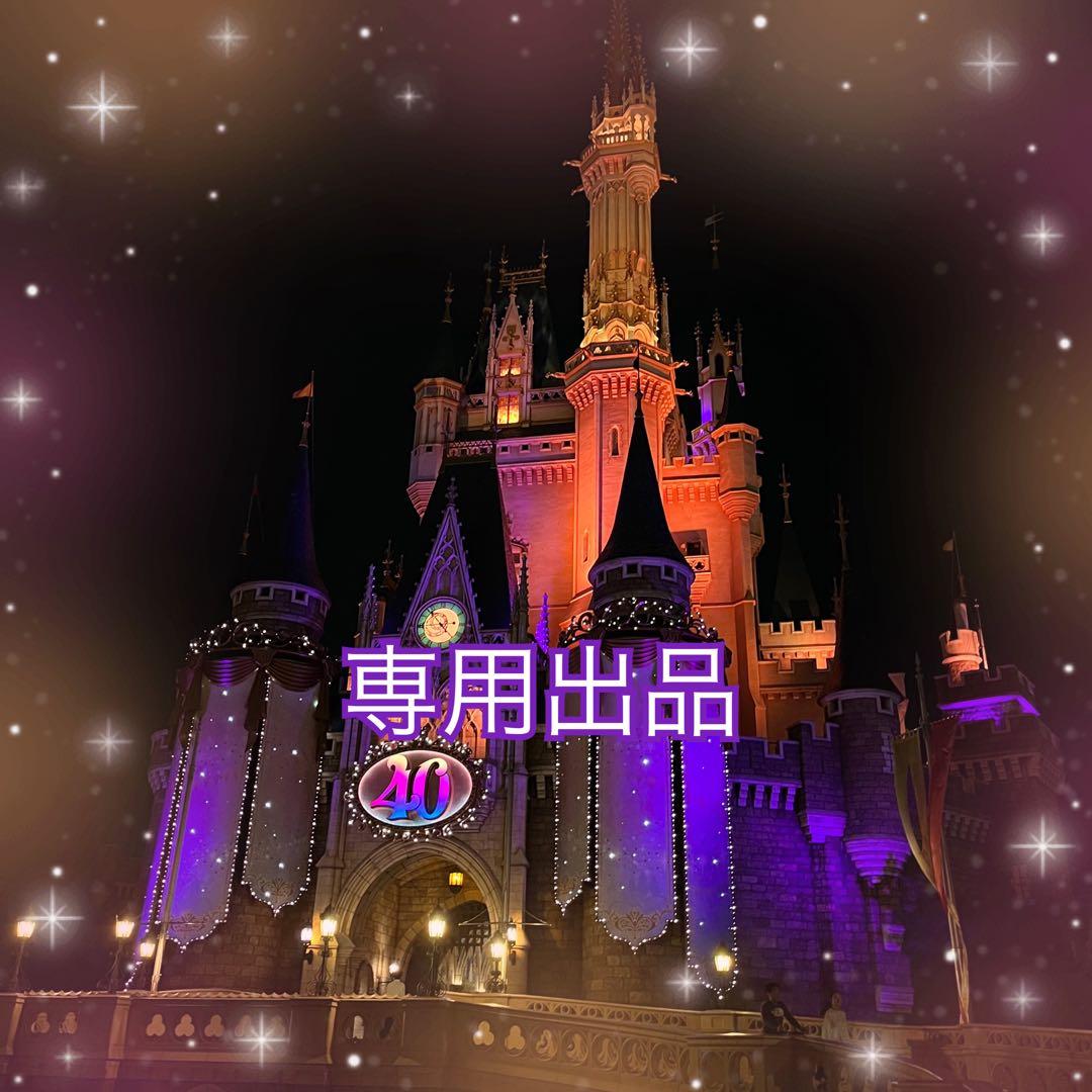 専用出品/リーナベル対応コスチューム3点