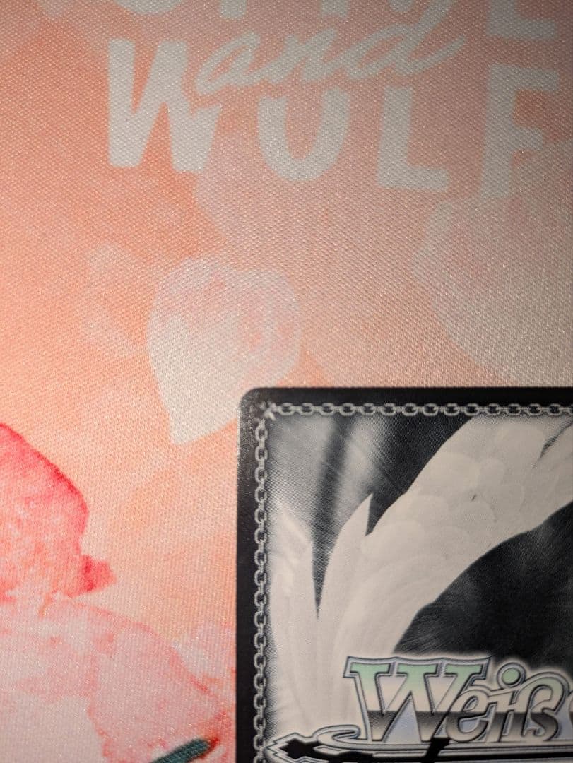 WS ガンゲイルオンライン LPFM レン SEC＋ サインシク　傷あり？