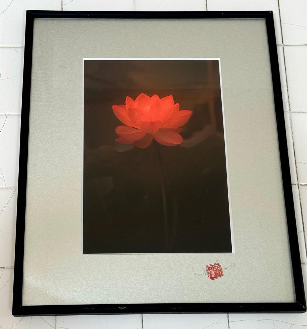 東風終（岩峰啓一）作品『蓮の花／Lotus flower』