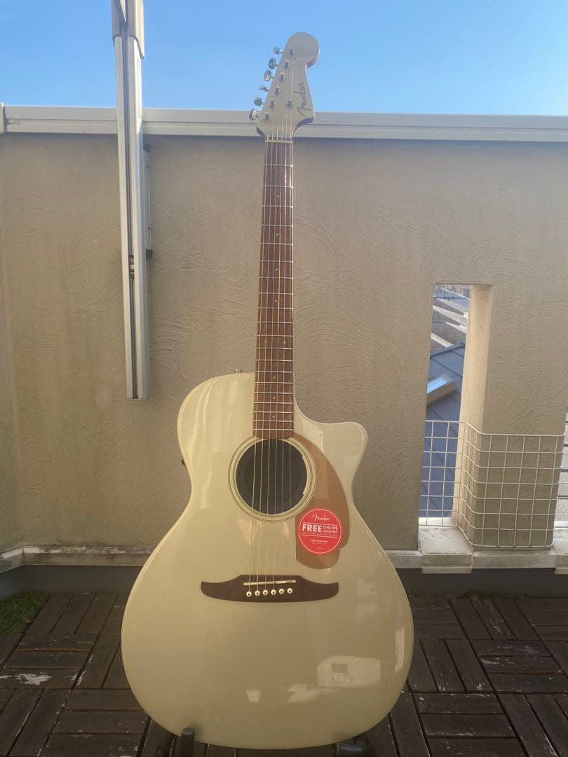 Fender Newporter Player (フェンダーニューポーター)