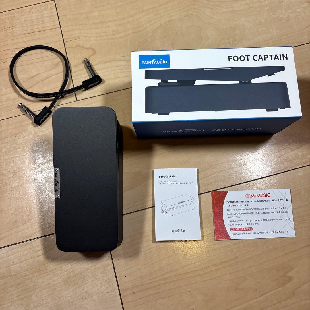 ギター PAINT AUDIO FOOT CAPTAIN