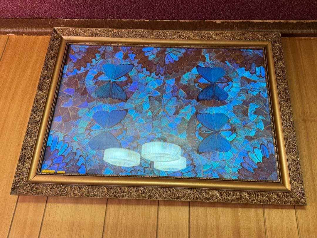 【アンティーク　レトロ　コレクション】　高額　モルフォチョウ　絵画