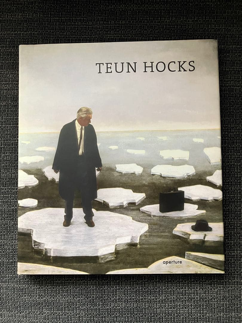 TEUN HOCKS 絵画集