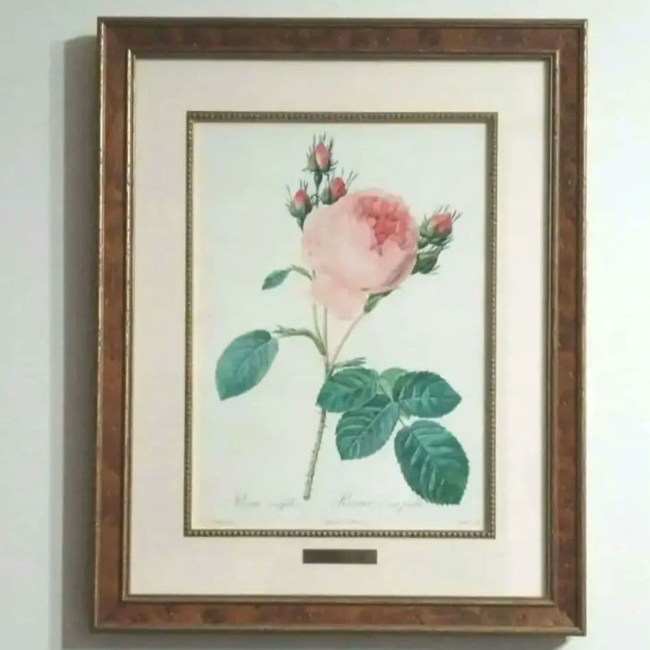① ルドゥーテ 絵額 レ ローズ バラ図譜 フォリオ判 銘木調フレーム 額 絵