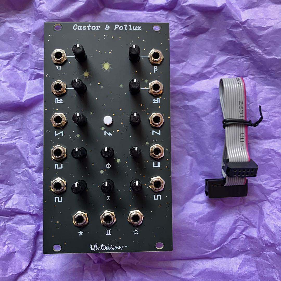 Winterbloom Castor & Pollux Ｖ1モジュラーシンセ